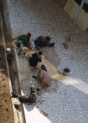 Women Polishing Floor